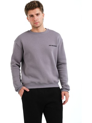 Justever Bisiklet Yaka Nakışlı Şardonlu Içi Polarlı Gri Erkek Sweatshirt - Volar