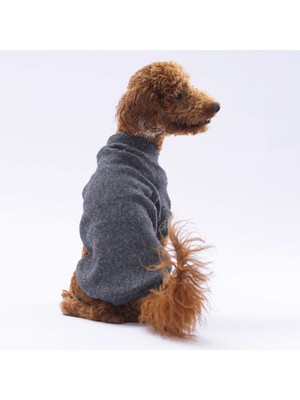 Pawstar Siyah Merino Kedi Köpek Sweat- Kedi Köpek Kıyafeti