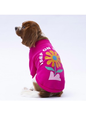 Pawstar Pembe Lahti Kedi Köpek Sweat- Kedi Köpek Kıyafeti