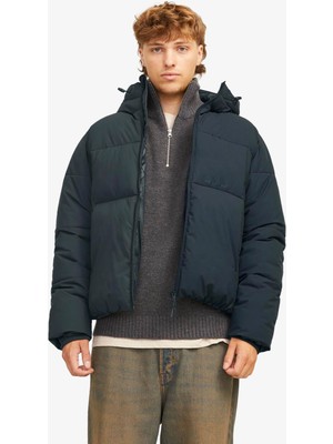 Jack & Jones Jorvesterbro Erkek Yeşil Mont 12260433-FORESTRIVER