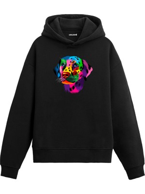 Colermi Köpek Benek Renkli Köpek Tasarımı Doğum Günü Hediyesi Pamuklu Hoodie Kapşonlu Sweatshirt