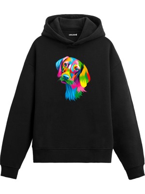Colermi Köpek Jolly Renkli Köpek Tasarımı Doğum Günü Hediyesi Pamuklu Hoodie Kapşonlu Sweatshirt