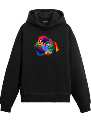 Colermi Köpek Sadie Renkli Köpek Tasarımı Doğum Günü Hediyesi Pamuklu Hoodie Kapşonlu Sweatshirt