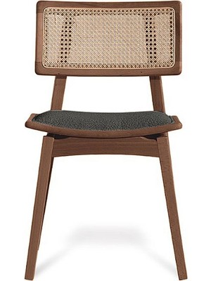 Gazzini Furniture Gazzini alegra ahşap ıskandinav sandalye