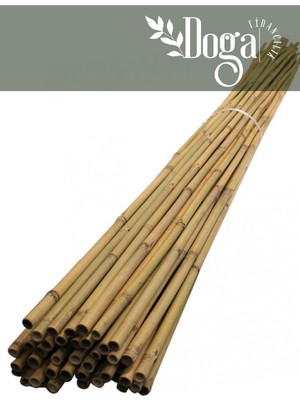 Doğa Fidancılık 30 Adet Bambu Bitki Fidan Destek Çubuğu 1,5 Metre
