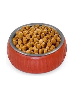 Alfa Life Marketing Organik Seramik Mama Kabı Kiremit