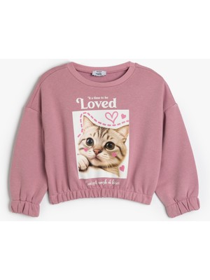 Koton Sweatshirt Bisiklet Yaka Kedi Baskılı Uzun Kollu