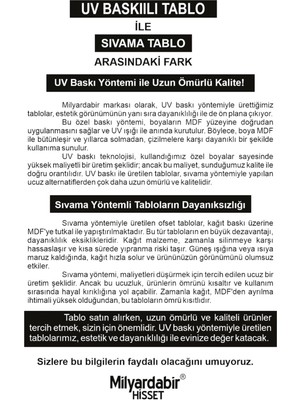 Çocuk Odaları Için Ideal Sevimli Hayvan Çizimleri Temalı 12 Parça Mdf Tablo Seti