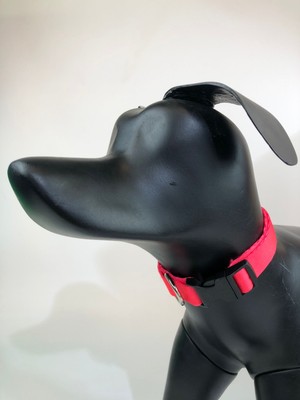 Mita Ayarlanabilir Köpek Boyun Tasması Neon Pembe
