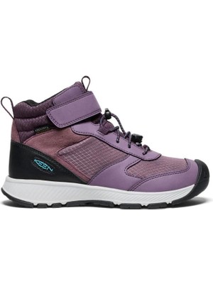 Keen Skua Wp Çocuk Bot