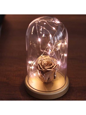 By-Lamp Rose Solmayan Gül Işıklı Sevgiliye Hediye Fanus Lamba