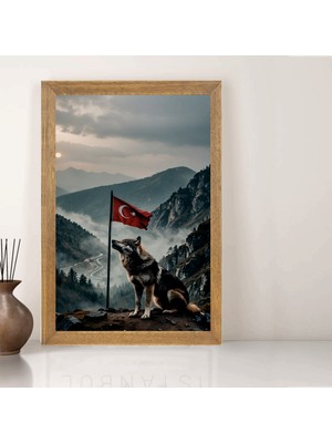 Lioncraft Türk Bayrağı, Türkçü, Bozkurt Tablo, Çerçeveli Cam Tablo 20X30 cm