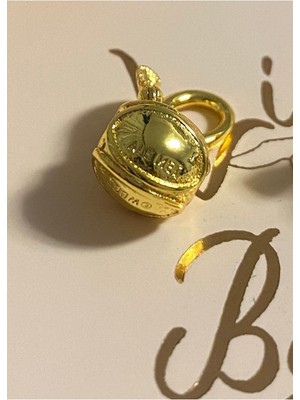 Lines Bijuteri Harry Potter Golden Snitch Hareketli Kanatlar Charm 925 Ayar Gümüş