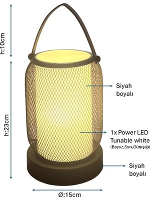 Pulchino Siyah Boyalı Modern Masa Lambası PLC-1248-M-BSY