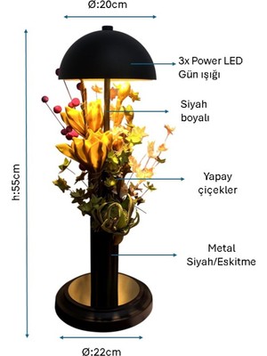 Pulchino Siyah Boyalı Modern Masa Lambası  PLC-1252-M-BSY