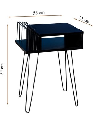 Akıs Home Plak ve Pikap Sehpası Metal Ayaklı