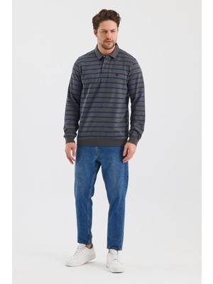 Alexander Gardi Polo Yaka Çizgili Regular Fit Sweatshırt (WK25214)