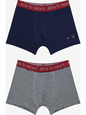 Penti Erkek Çocuk Drive To Nature 2li Çok Renkli Boxer