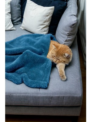 Mislina Home Paw Wellsoft Kedi Köpek Battaniyesi 100X100 cm Petrol Mavisi