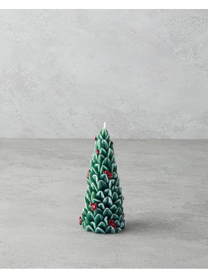 English Home Pine Tree Mum 15 Cm Yeşil