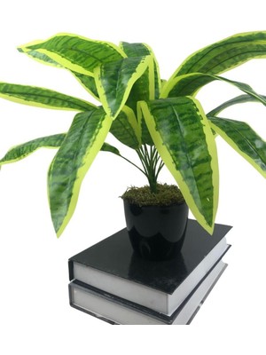 Tekno Trust Yapay Çiçek Masengena Sansevieria 12 Dal 40*50CM Salon Çiçeği Plastik Siyah Saksılı Yapay Bitki