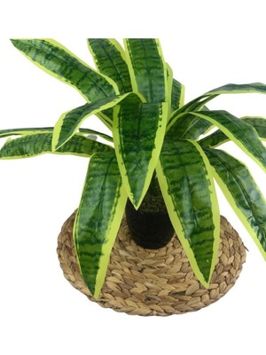 Tekno Trust Yapay Çiçek Masengena Sansevieria 12 Dal 40*50CM Salon Çiçeği Plastik Siyah Saksılı Yapay Bitki