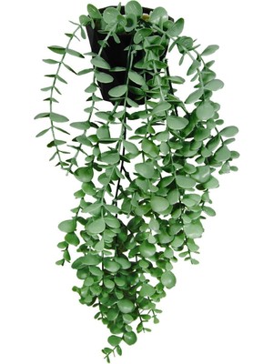 TeknoTrust Çok Renkli Yapay Çiçek 10 cm Alüminyum Elmas Saksıda Yeşil Okaliptus Sarkanı