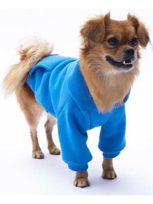 Pettrend Mavi Kanguru Cepli Kedi-Köpek Hoodie- Sweatshirt  Kedi Köpek Kıyafeti