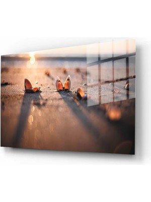 Marsilyan Doğa, Manzara 3d Dekoratif Baskı Yatay Cam Tablo 01