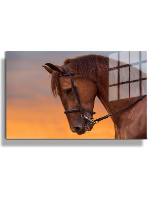 Marsilyan Eğlenceli Hayvanlar, Yapay Zeka Destekli, 3d Dekoratif Baskı Yatay Cam Tablo 468