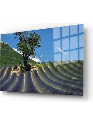 Marsilyan Doğa, Manzara 3d Dekoratif Baskı Yatay Cam Tablo 01