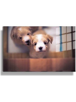 Marsilyan Eğlenceli Hayvanlar, Yapay Zeka Destekli, 3d Dekoratif Baskı Yatay Cam Tablo 09