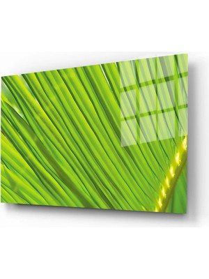 Marsilyan Doğa, Manzara 3d Dekoratif Baskı Yatay Cam Tablo 01