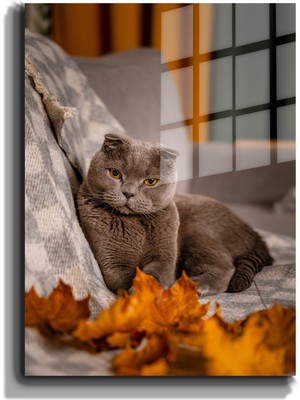 Marsilyan Eğlenceli Hayvanlar, Yapay Zeka Destekli, 3d Dekoratif Baskı Cam Tablo 90