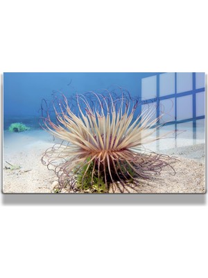 Marsilyan Eğlenceli Hayvanlar, Yapay Zeka Destekli, 3D Dekoratif Baskı Yatay Cam Tablo 391