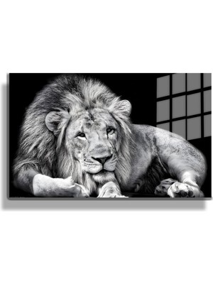 Marsilyan Eğlenceli Hayvanlar, Yapay Zeka Destekli, 3D Dekoratif Baskı Yatay Cam Tablo 56