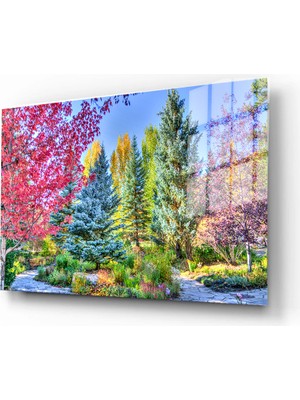 Marsilyan Dekoratif Doğa, Manzara Cam Tablolar, 3D Dekoratif Baskı 674