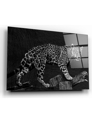 Marsilyan Leopar Cam Tablo | Hediyelik, Dekoratif, Ofis, Mutfak - 35 x 45