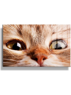 Marsilyan Eğlenceli Hayvanlar, Yapay Zeka Destekli, 3d Dekoratif Baskı Yatay Cam Tablo 600