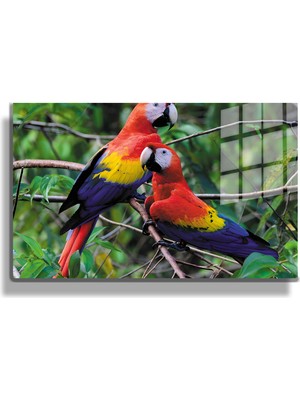 Marsilyan Eğlenceli Hayvanlar, Yapay Zeka Destekli, 3d Dekoratif Baskı Yatay Cam Tablo 155