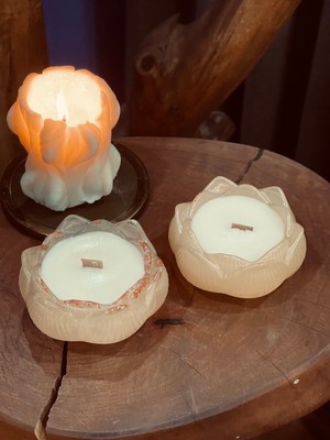 Mumias Candle 2'li  Epoksi Hindistan Cevizi Kokulu Lotus Çiçek Kase Soya Wax Dekoratif Mum Seti