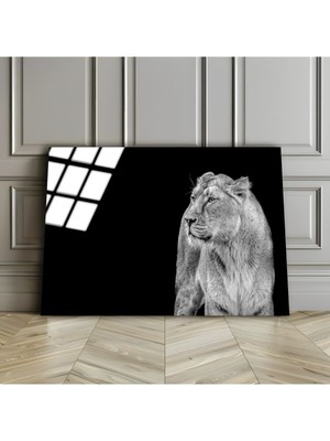 Harikabirev Kırılmaz Cam (Temperli) Siyah-Beyaz Kaplan Tablosu 02