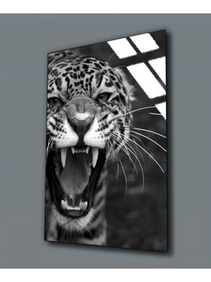 Harikabirev Kırılmaz Cam (Temperli)  Kaplan Tablosu 10