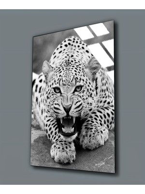 Harikabirev Kırılmaz Cam (Temperli)  Kaplan Tablosu 06