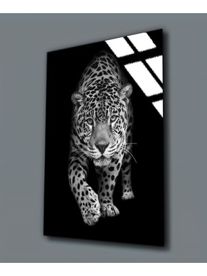 Harikabirev Kırılmaz Cam (Temperli)  Kaplan Tablosu 05