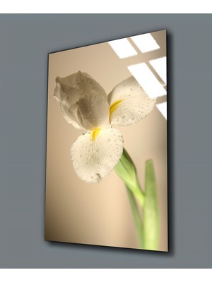 Harikabirev Kırılmaz Cam (Temperli) Yeşil-Beyaz Çiçek Tablosu 01