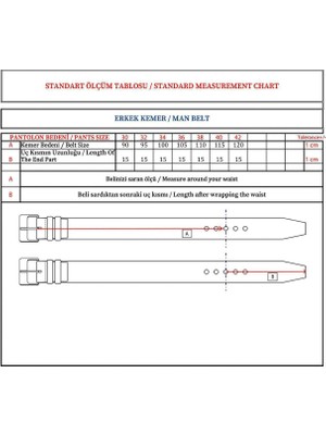 DeFacto Erkek Dikdörtgen Toka Suni Deri Günlük Kemer U0037AZNS