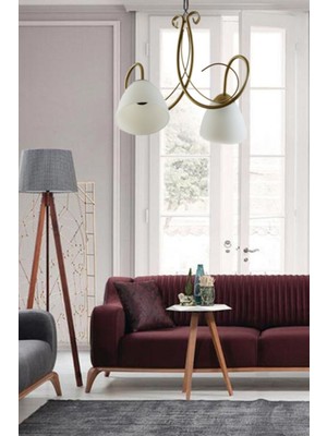 Mediterian Modern Eskitme Renkli Kasa ile Beyaz Opal Camlı 2'li Avize, 42x42 boyut