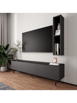 Lifedeco Tv Ünitesi Antrasit Kapaklı Ayaklı 1 Raflı LD-3001-GA1R