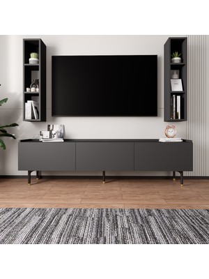 Lifedeco Tv Ünitesi Antrasit Kapaklı Ayaklı 2 Raflı LD-3001-GA2R